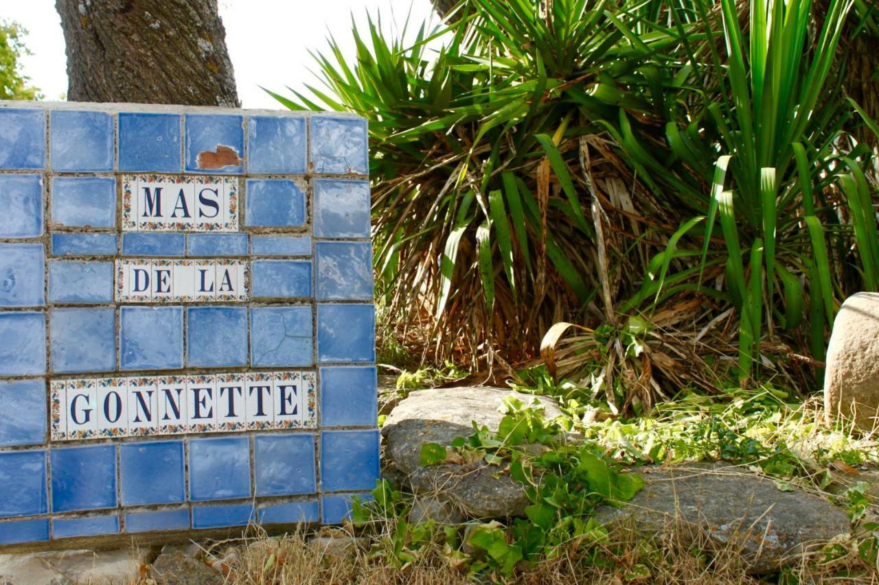 韦纳斯克Mas De La Gonnette别墅 外观 照片
